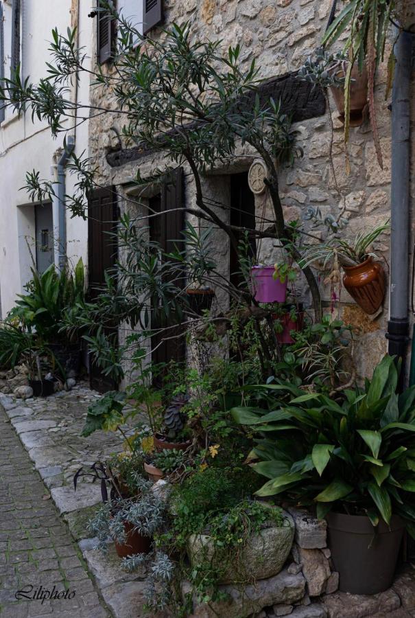 Cosy Provencal Belgentier Exterior foto